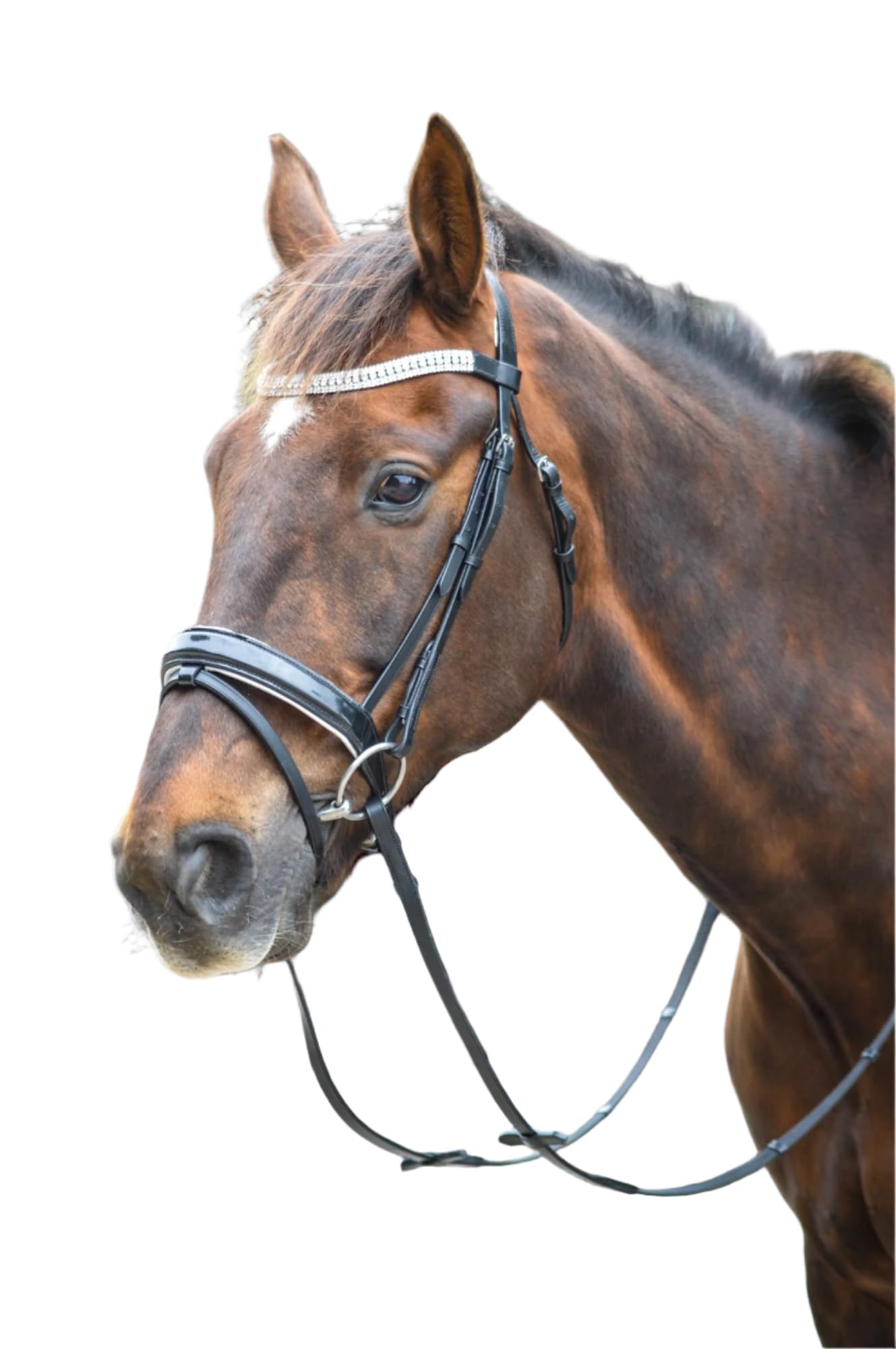Aces Equine Dressage Bling Show Horse Bridle Diamante Browband Patent Noseband And Removable Flash Extra Full to Mini Shetland Sizes Black And White Colour (Extra-Full)