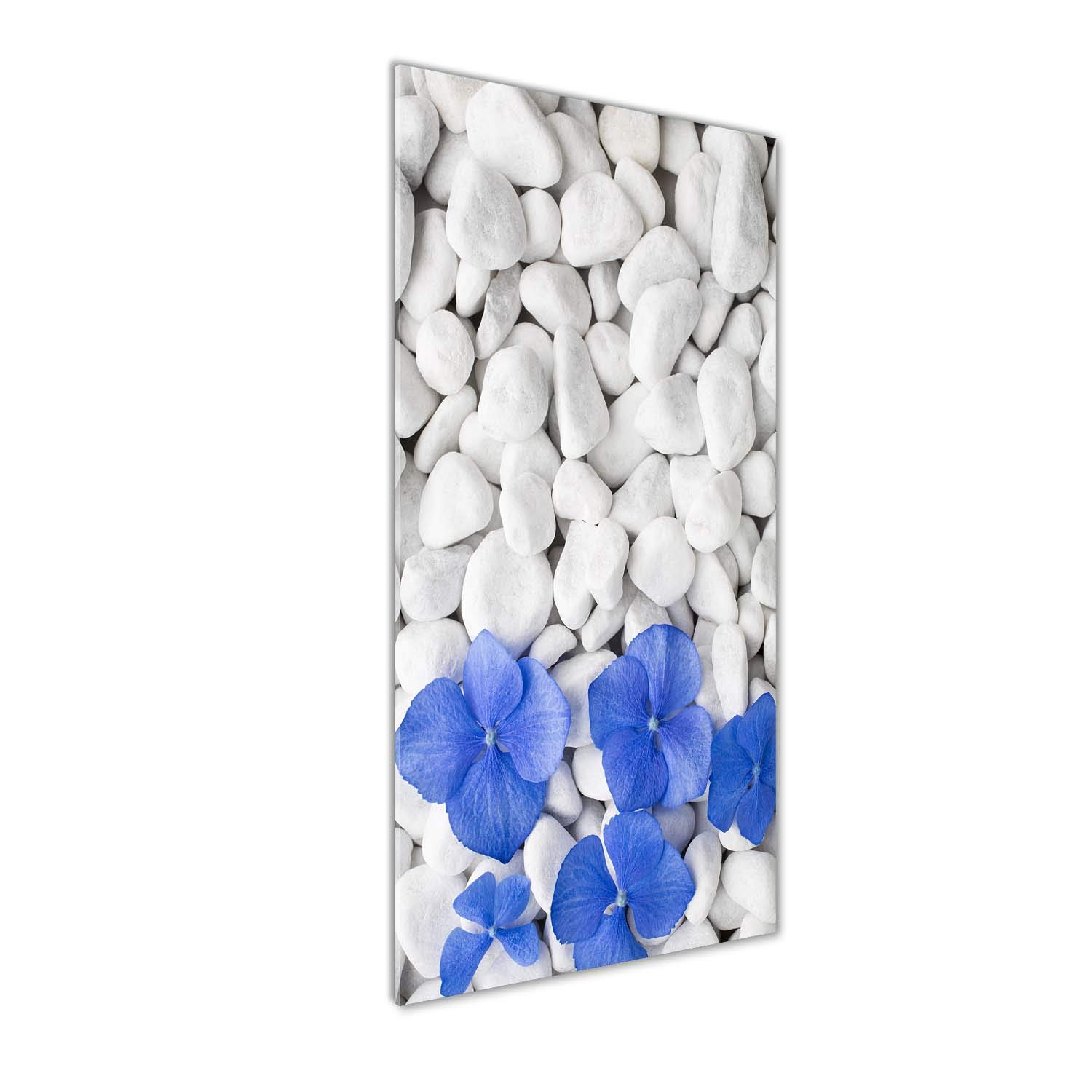 Tableau en verre acrylique Tulup 50x125 cm avec motif hortensia bleu