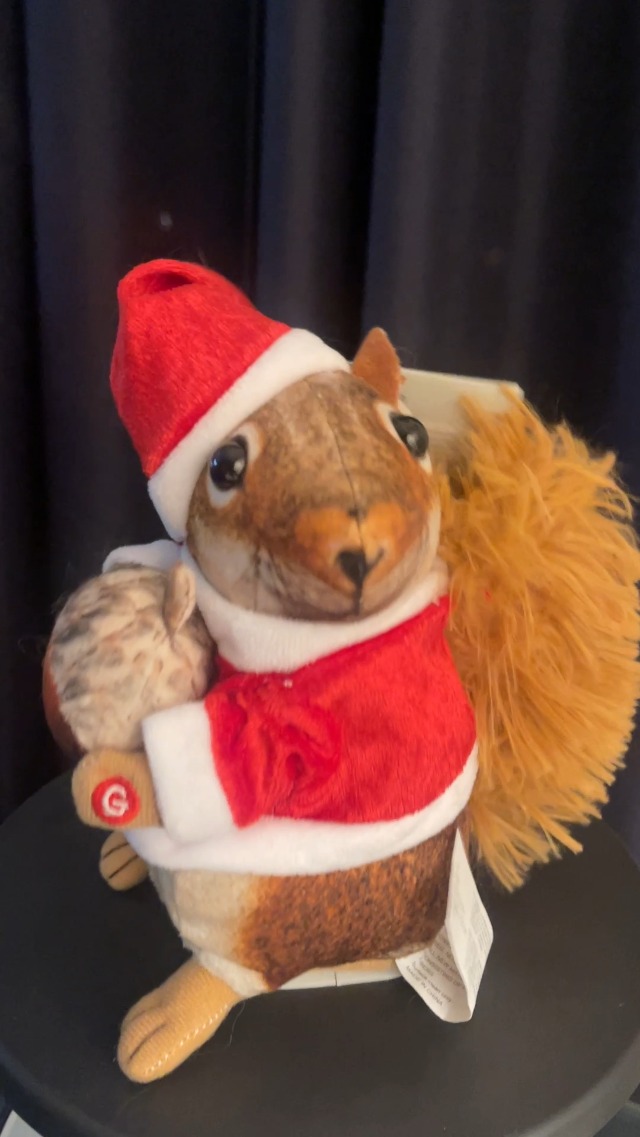 Amazon.com: Animated Plush Squirrel with Santa Hat - Sings Dances
