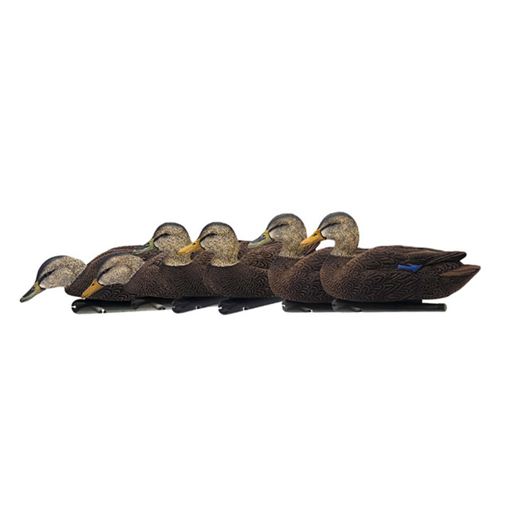 Avian X Topflight Black Realistic Duck Decoy Sets with Flocked Bodies, 6 Unique Postures, Weight Forward Swim Keel, & Durable No Flake Finish