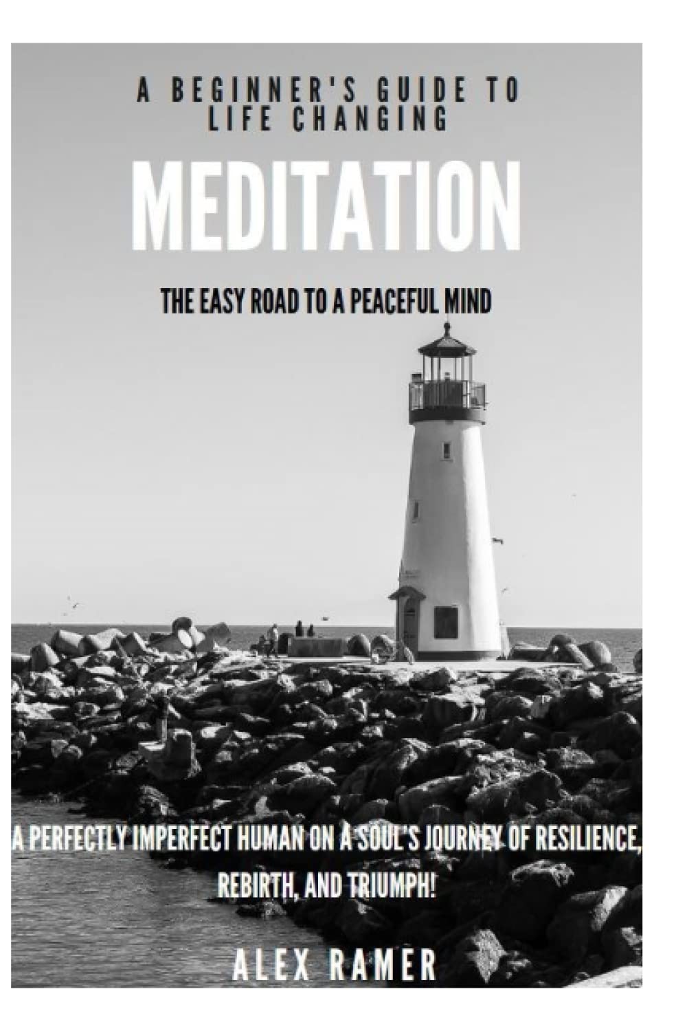 The Easy Road to a Peacful Mind!: A Beginner's Guide To Life Changing Meditation