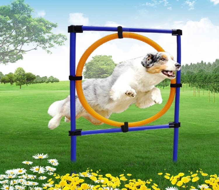 Attrezzatura per l'allenamento dell'agilità del cane, anello per saltare l'agilità del cane, barra per ostacoli regolabile, giochi all'aperto per cani da compagnia Attrezzatura per l'allenamento del