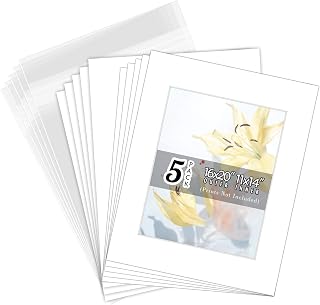Golden State Art, White Pre-Cut 16x20 Picture Mat for 11x14 Photo with White Core Bevel Cut Mattes Sets. Includes High Premier Acid Free Mats & Backing Board & Clear Bags (5 Kit)