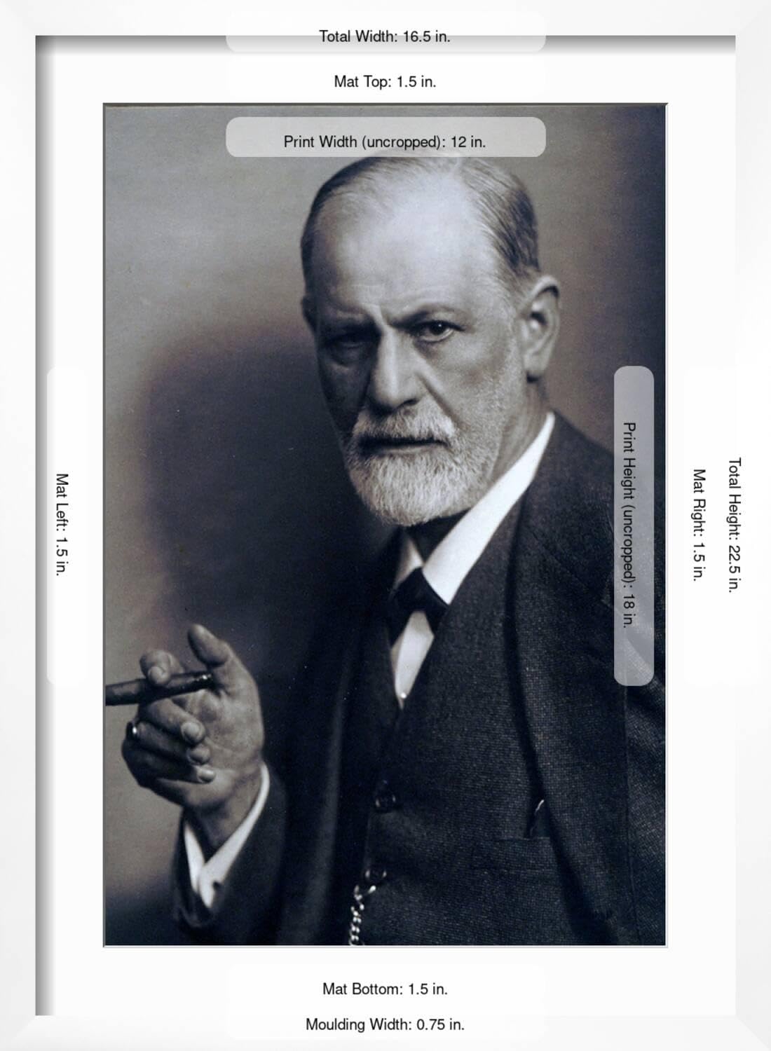 Amazon.com: ART.COM Wall Art Print Sigmund Freud Smoking Cigar in a Classic  Early 1920s Portrait on White Frame, 16