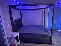 Review Image by Eric Swan Eric Swan