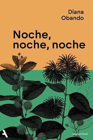Noche Noche Noche