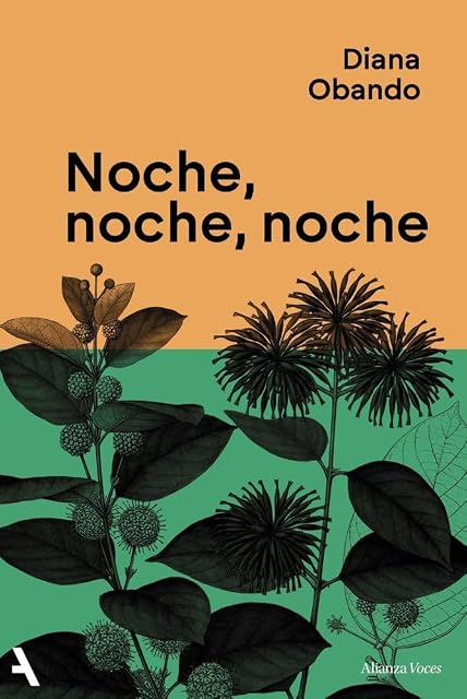 Portada de Noche Noche Noche