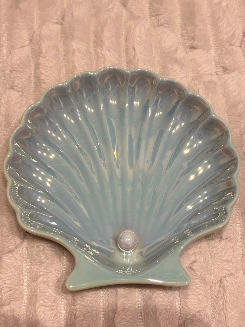 シェル 貝殻 皿