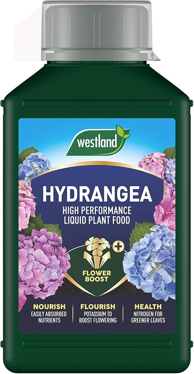 1L, Hydrangea Liquid Plant Food, Concentrated Feed for Vibrant Blooms & Healthy Growth, Supports Blue & Pink Varieties, Ideal for Garden Shrubs & Containers