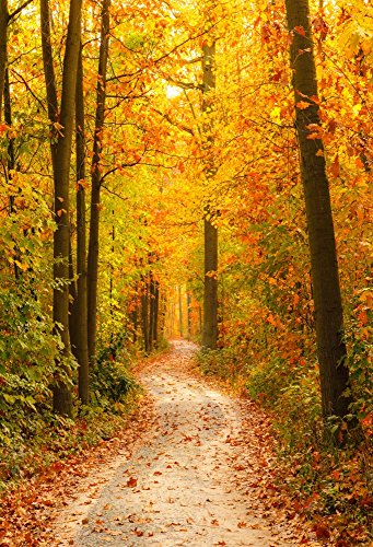 Buy 1 get 1 AOFOTO 8x10ft Fall Forest Path Photography Studio Backdrop Autumn Park Scenic Background Woods Fallen Leaves Adult Kid Girl Boy Lovers Man Artistic Portrait Travel Photoshoot Props Video Drape Vinyl