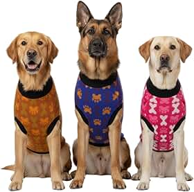 Kit 2 Roupa Roupinha Pet Cachorro Gato Porte Grande Raça GG XG Tricot Lã Quentinha Confortável (Femea)