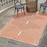 Tiffasea Modern Area Rug 4'x6' Washable Entryway Rugs Indoor Outdoor Rug, Farmhouse Cotton Woven Living Room Rugs, Reversible Rugs for Bedrom Kitchen Floor Carpet for Entry Porch Front Door Patio