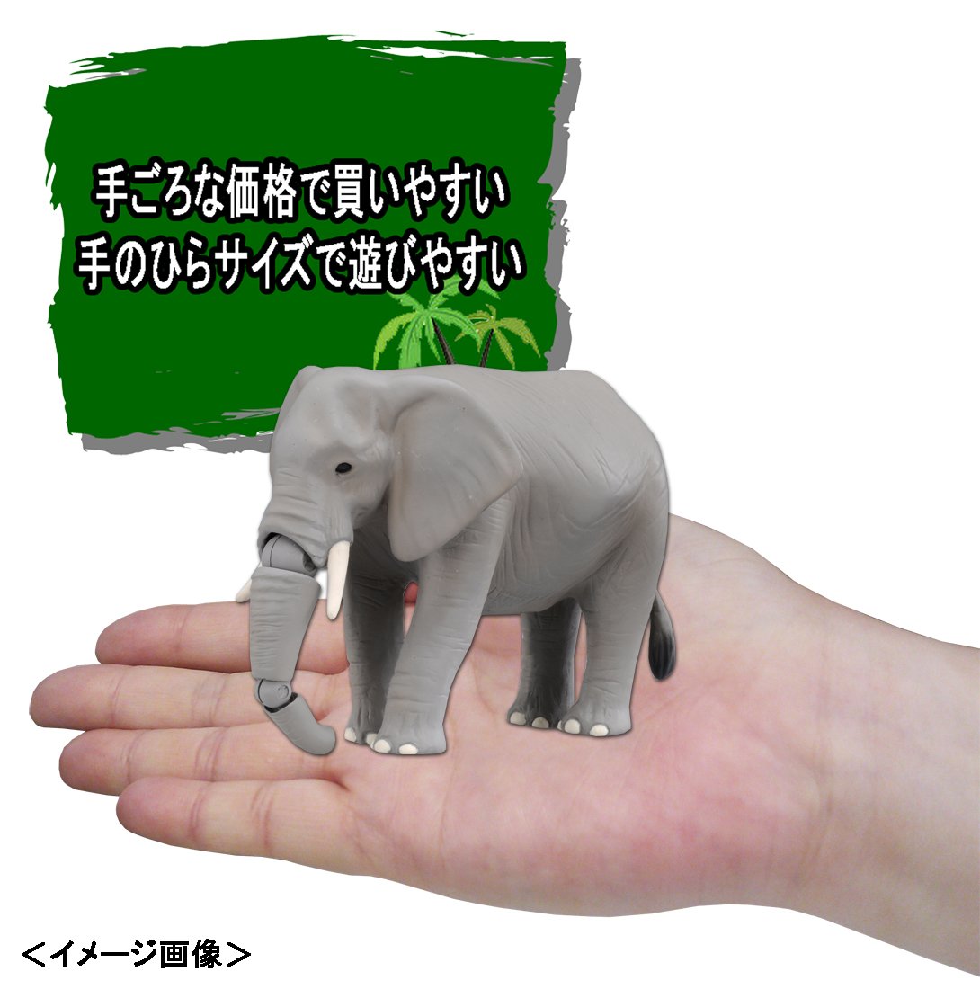 ゾウのあし アキレス・ソルボ C 587 黒｜甲と足首が調整できる牛革ウェッジ