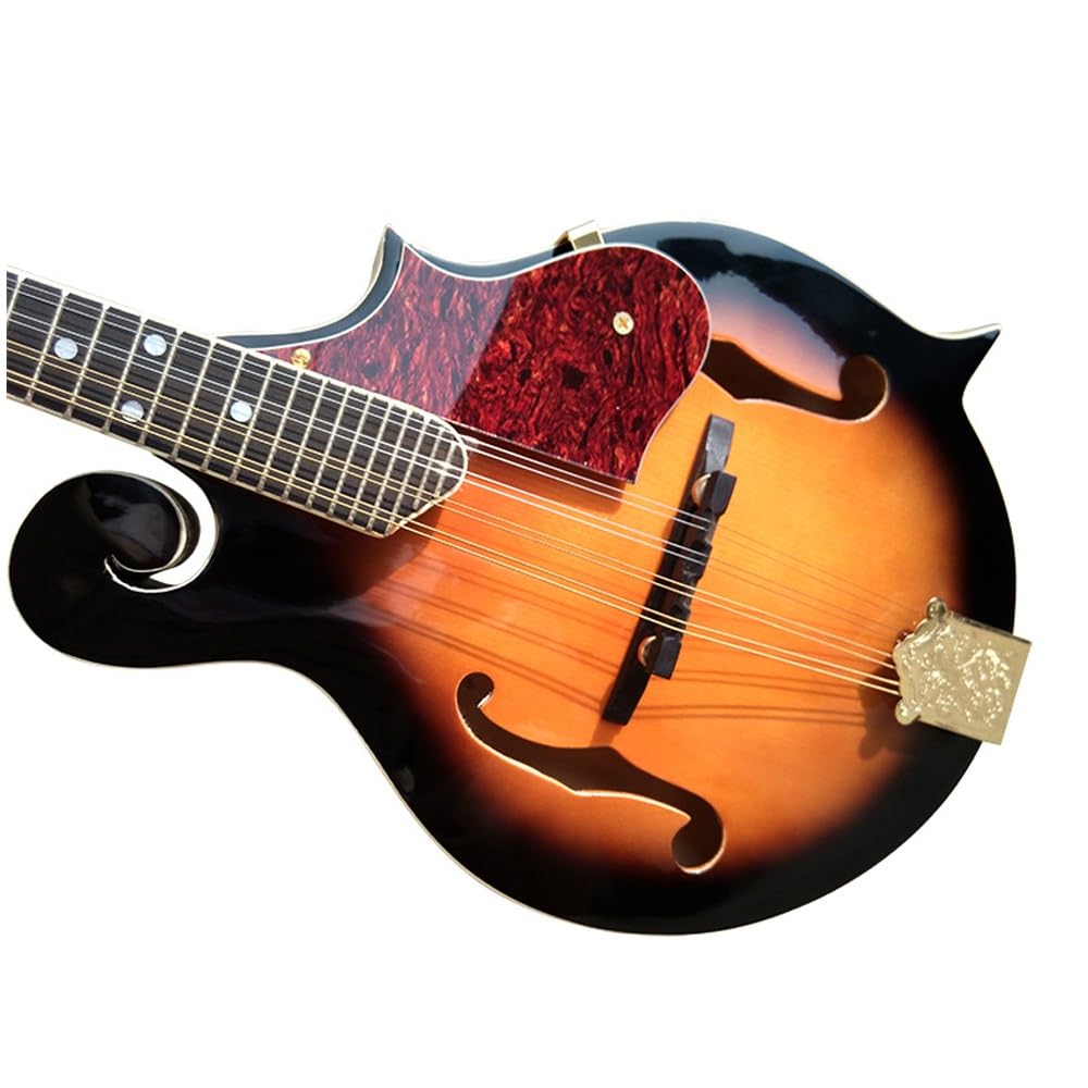 Mandolino singolo F-top fatto a mano, otto corde, con protezione, corpo sfumato marrone-nero, filo di acciaio a 8 fili, pannello in abete, custodia in ABS inclusa, adatto a principianti e professionis