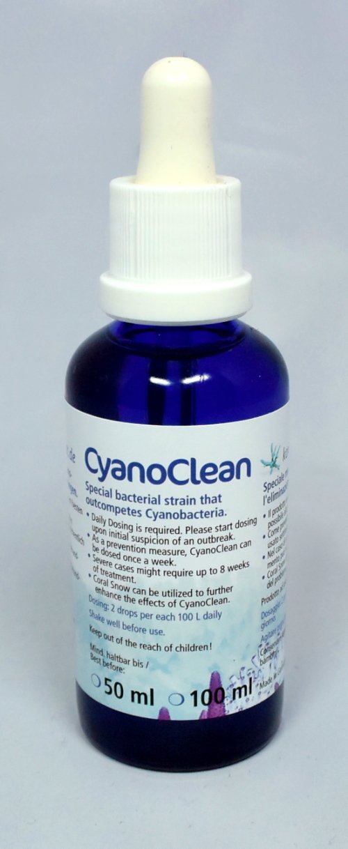 Korallenzucht.de Cyanoclean Pack of 1 x 10 ml