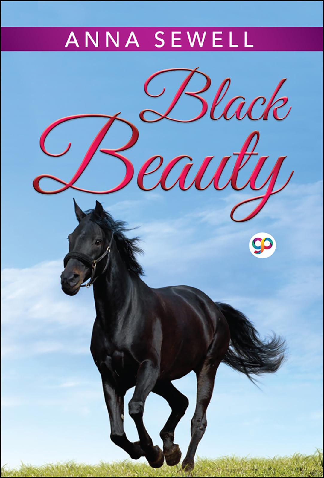 Black Beauty: Sewell, Anna: 9788180320095: Books - Amazon.ca