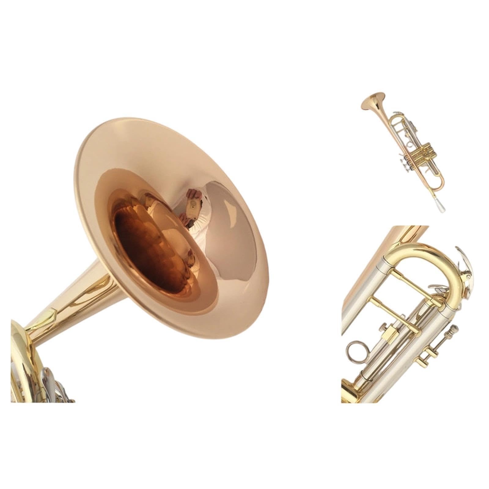 Trumpet Trompeta en si bemol principiante