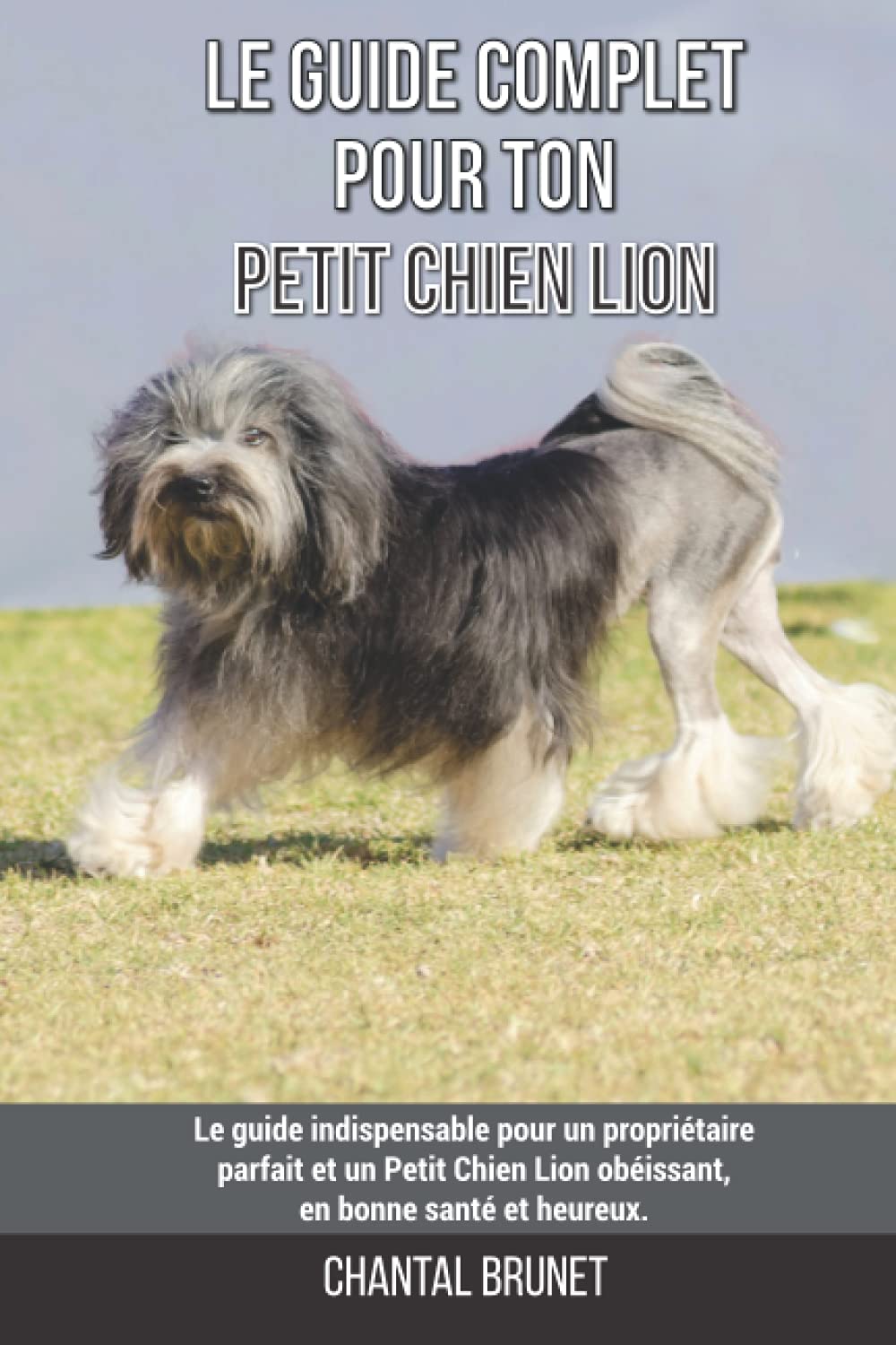 Le guide complet pour ton Petit Chien Lion: Le guide indispensable pour un propriétaire parfait et un Petit Chien Lion obéissant, en bonne santé et heureux.