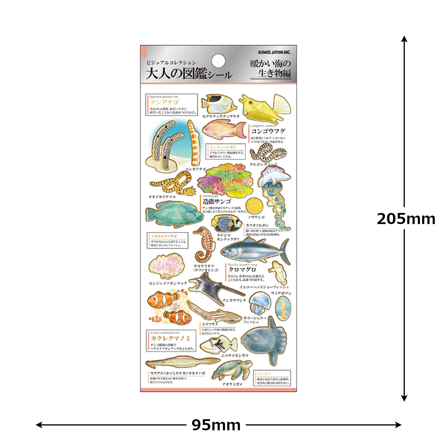 Amazon.co.jp: カミオジャパン シール 大人の図鑑シール 暖海の生き物