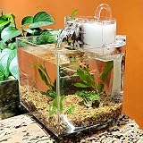 Acuario Mini Tablero de Escritorio de Tanques de Acuario for Peces pequeños Acuarios despejados Outlet de Cascada con Filtro de Bomba silencioso Algodón Pecera
