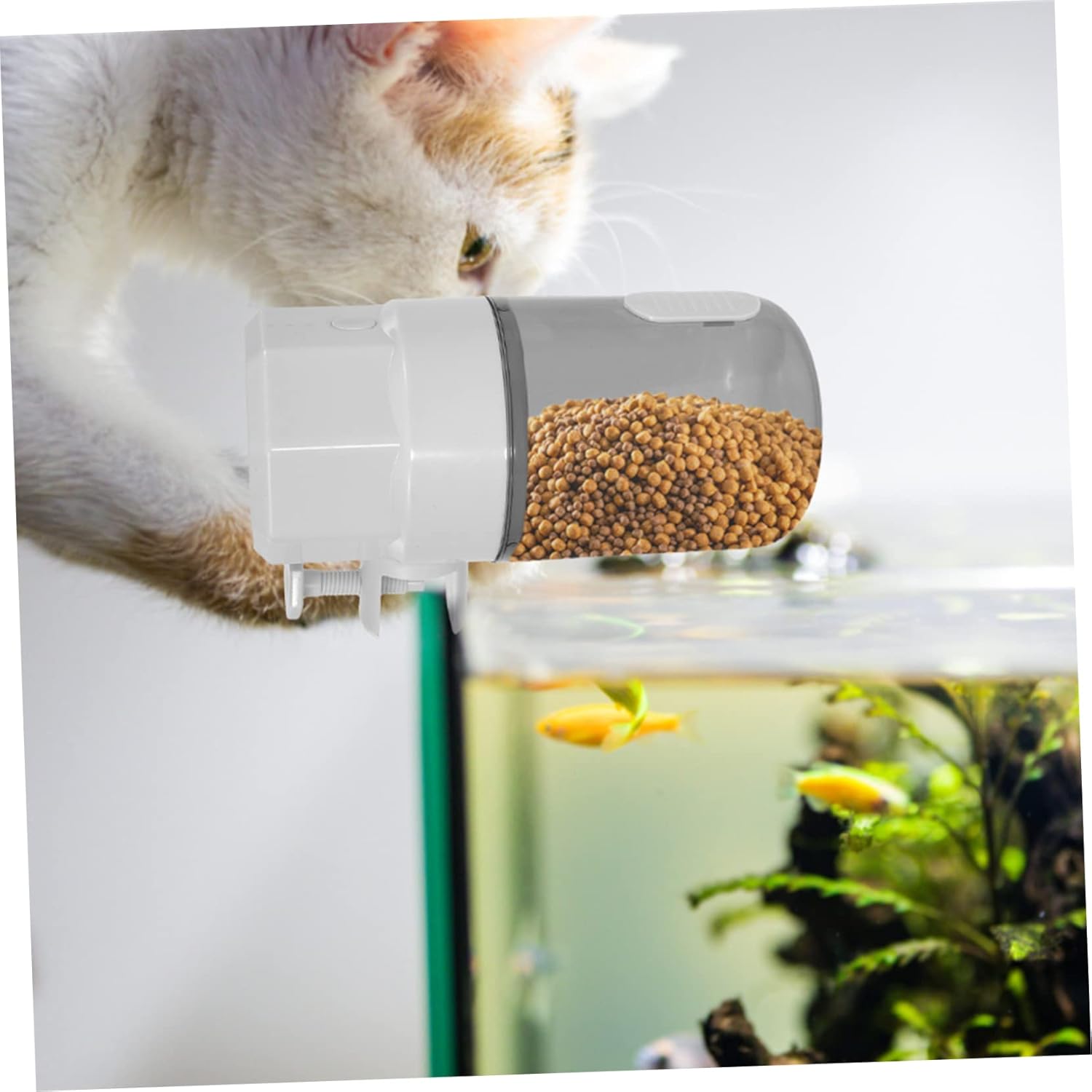 Toddmomy Automatic Fish Feeder for Small Tanks Feeder Feeding Options Design for Aquariums and Turtles Installation