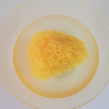 海綿スポンジ　世界最大？ ロージーローザ 天然海綿スポンジ Sサイズ ( 2コ入 )/ : 爽快