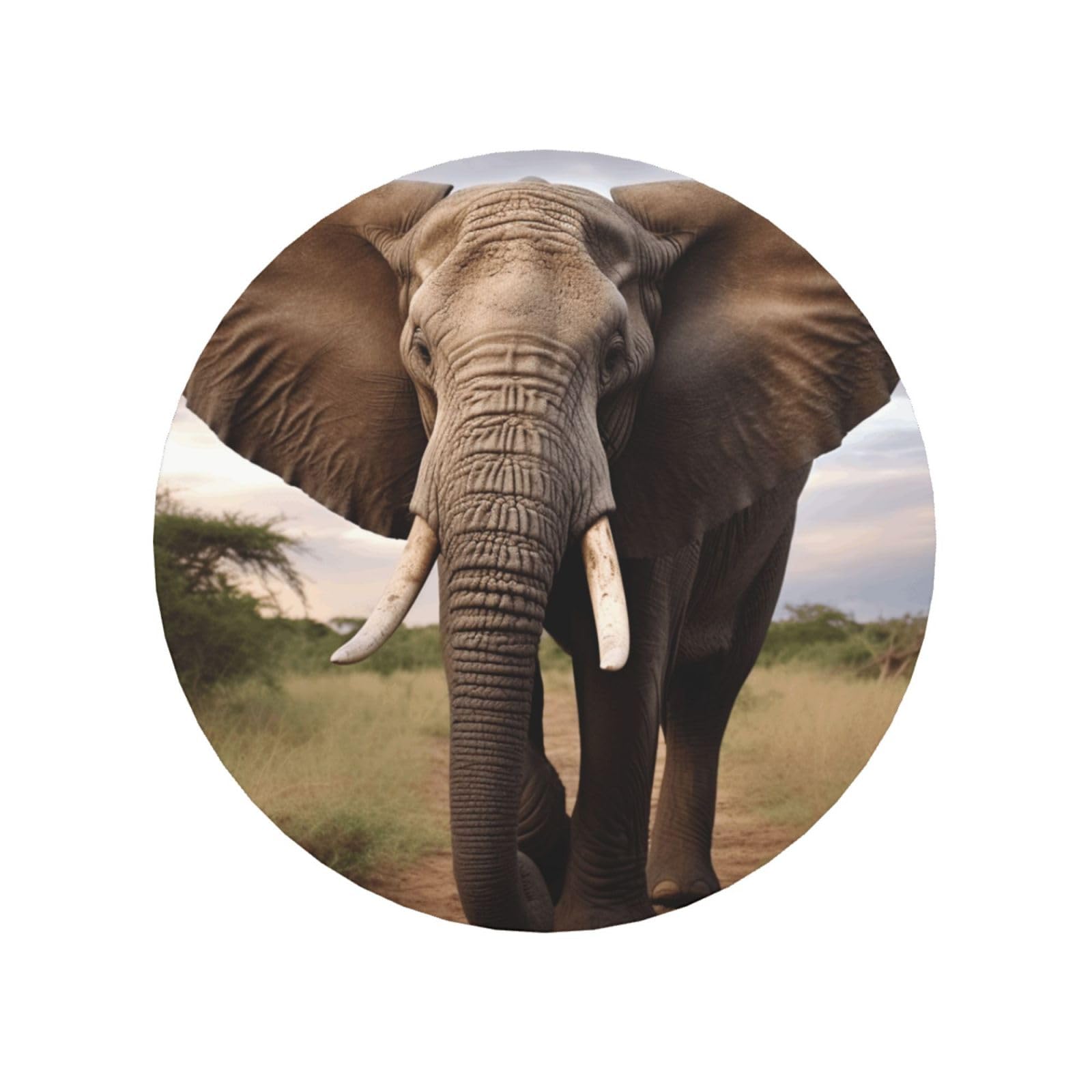 Elephant Animal Fridge Magnets Cute Strong Refrigerator Magnets Fun Magnet for Locker Office Whiteboard Decor, Door Magnets Decorative Magnetic Stickers for Home Decor