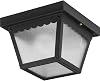 Progress Lighting 1-Light Indoor and Outdoor Flush Mount Ceiling Light, Interior and Exterior Ceiling-Mount Fixture for Porches, Patios, Garages, Hallways, Metal, 7-12 by 5, Black, P5727-31