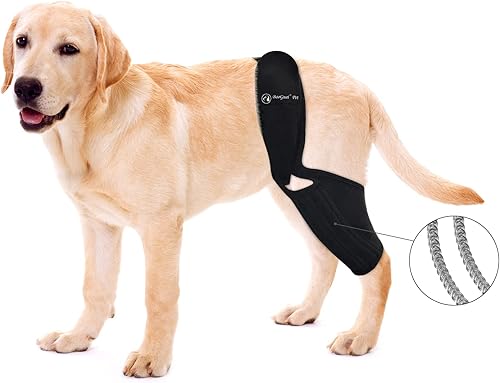 BaoGuai Rodillera para perros ACL con estabilizadores laterales, dislocación de la rodillera, artritis, mantiene la articulación caliente y estable