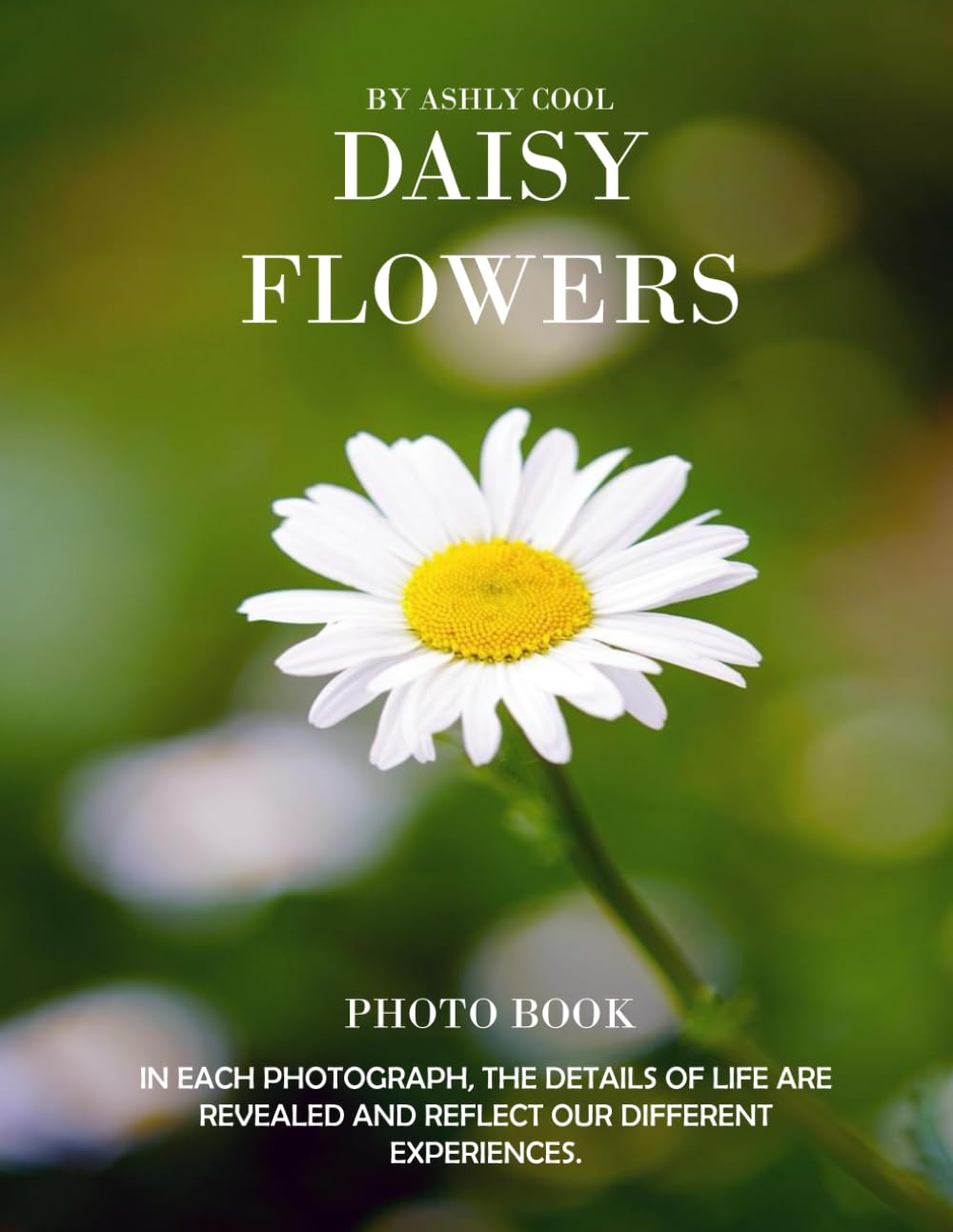Daisy Flowers: Exploring Daisy Flowers: A Visual Journey Through Nature’s Simple Beauty