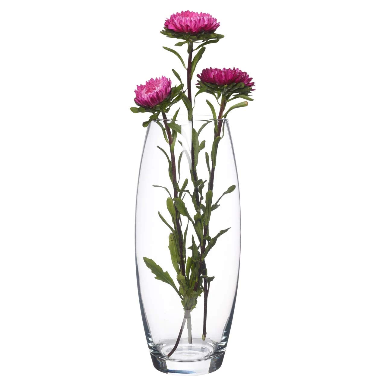 Revinox Botanic Glass Flower Vase (10.5 inches) (B08VR8ZRM7) Amazon Price History, Amazon Price Tracker