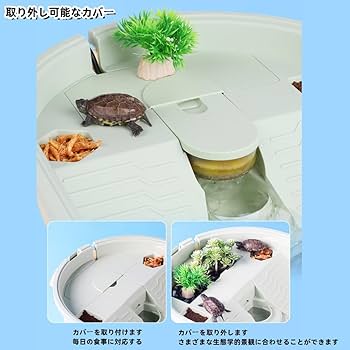 Amazon | foke亀 カメ用水槽 カメ水槽 亀の楽園 360度見ている亀
