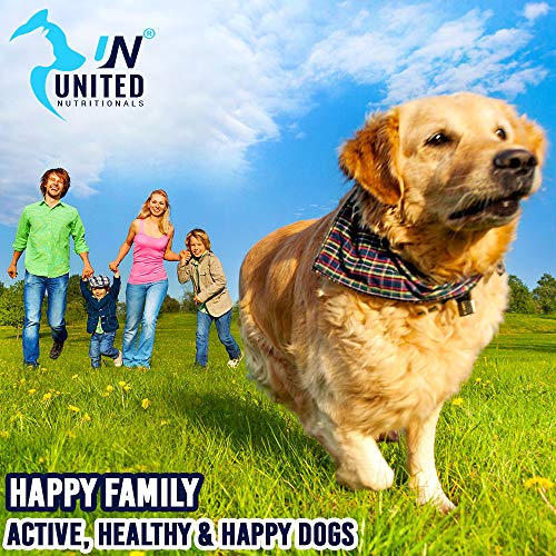 United Nutritionals Probiotics With Enzymes For Dogs, Digestive Support, Improves Upset Stomach, Bad Breath, Constipation, 7.5 Bill Cfus - 60/120 Chew-Able Tablets. (60) #TOP7