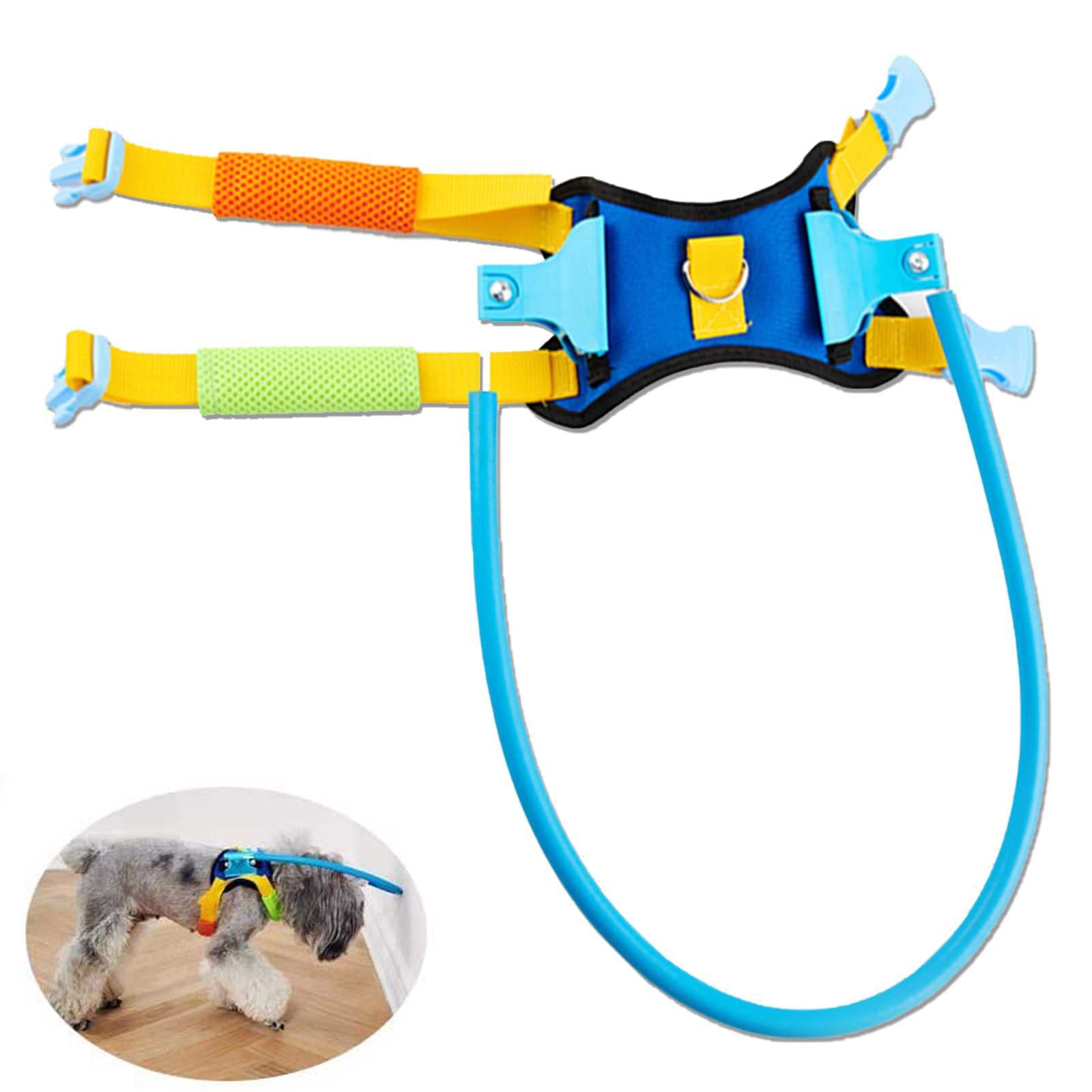 いぬごろう　リング4点 Amazon | ペットの首輪 盲目リング 犬 ペット保護リング 衝突防止