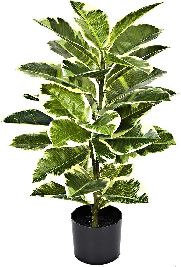 GreenBrokers Artificial Real Touch Rubber Plant in Pot