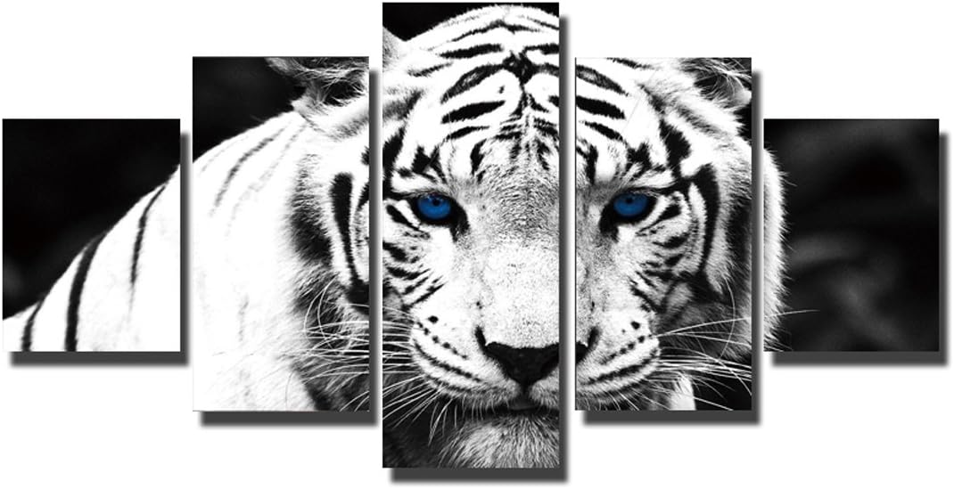 5 Pcs/Set HD Canvas Print Home Decor Wall Art Oil Paintings on Canvas Beautiful Picture 5p(No Framed) White Tiger