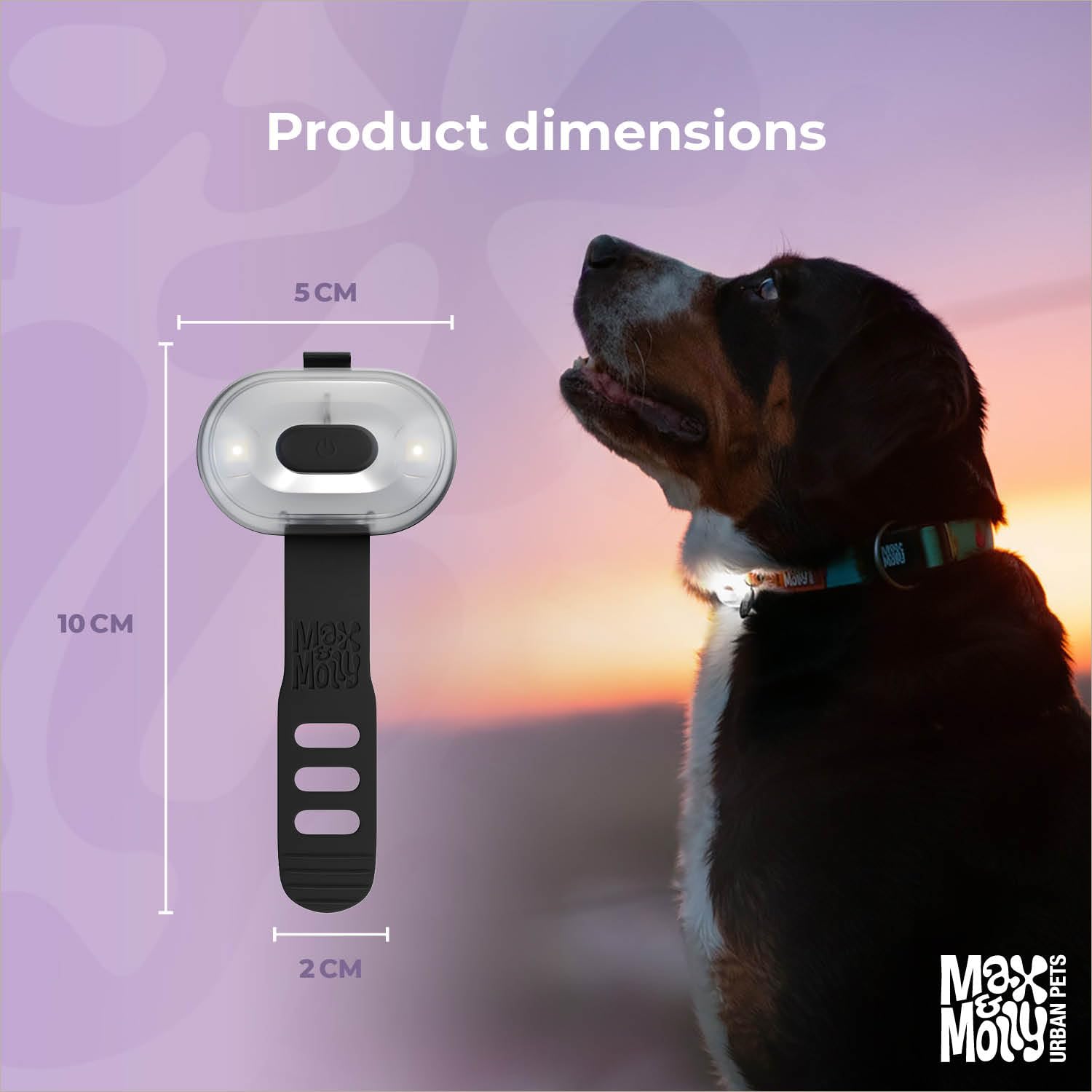 Max & Molly Matrix 2.0 Ultra LED, Lampe LED pour harnais, laisse et collier de chien, Noir, Étanche, Rechargeable par USB, Attache lumineuse pour chien pour plus de sécurité