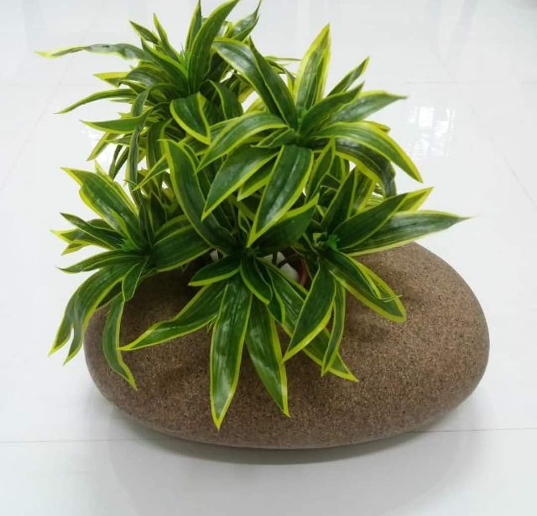 SHOP-SPEND-REPEAT Bonsai PLANTERS Brown Color Indoor/Outdoor Pebble Shape Planter/Landscape Decor - 16 inches x 10 inches x 6 inches Ht - FENG Shui Stone Finish Plant NOT Included (B097YBP76R) Amazon Price History, Amazon Price Tracker