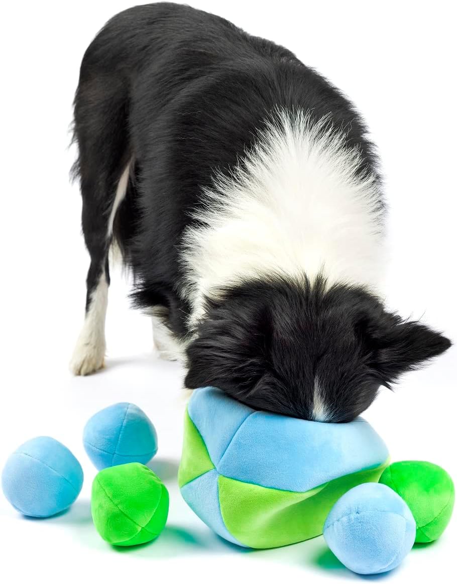 Midlee Hide a Ball Dog Toy - Blue/Green (Small)