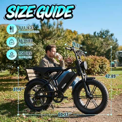 TST 750W Fat Tire Ebike