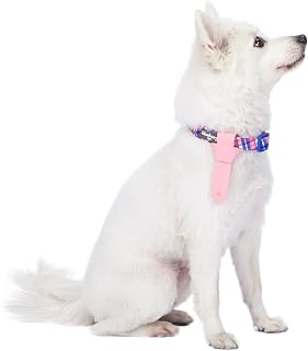 Blueberry Pet 4 Patterns Multiple Hues Scottish Plaid Style Adjustable Tie Dog Collar, Small, Neck 12"-16"