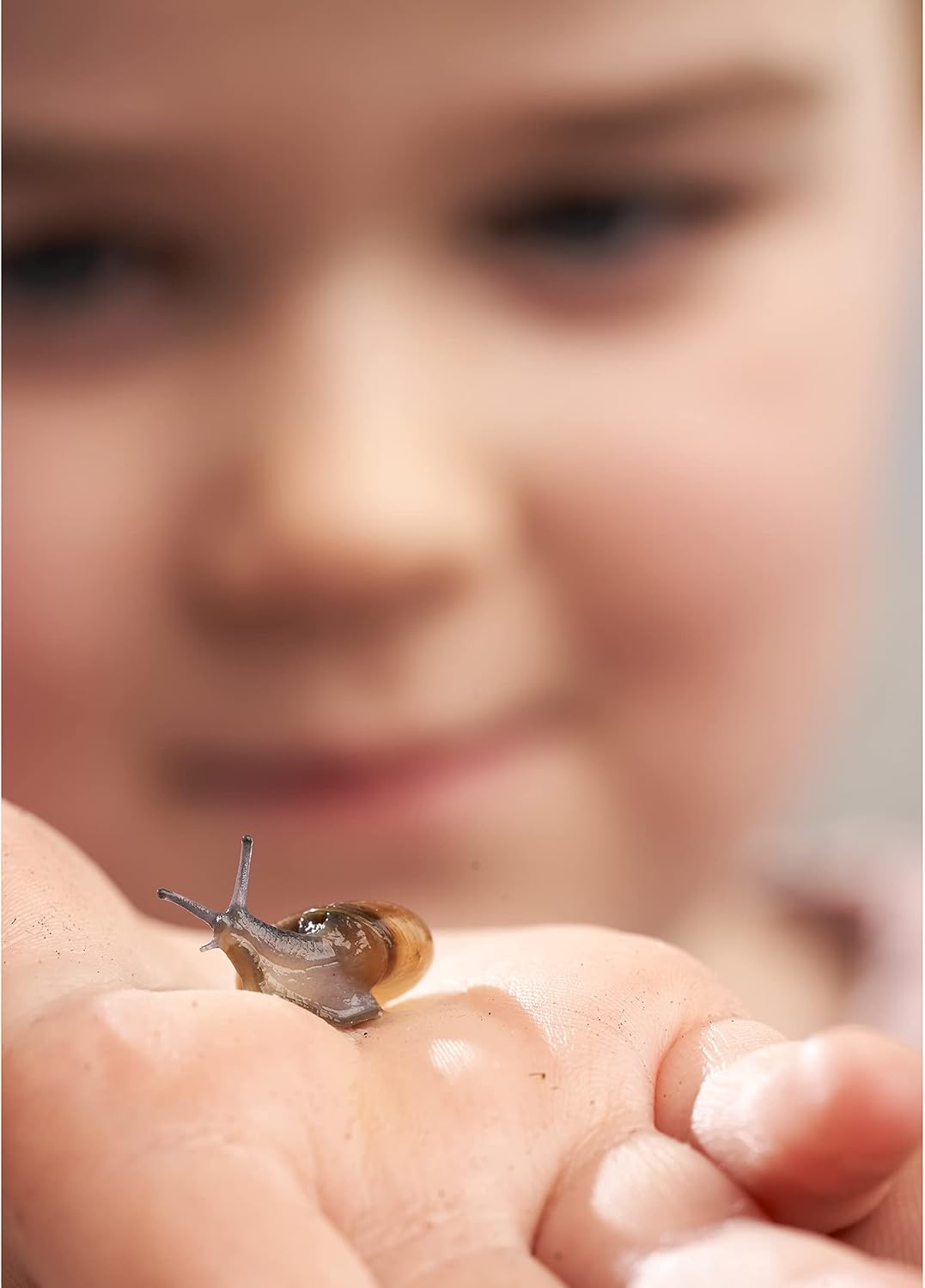 Contents of the My Living World Snail World kit, including a clear tank, lid, small tub, tweezers, pipette, field lens, and an instruction booklet.