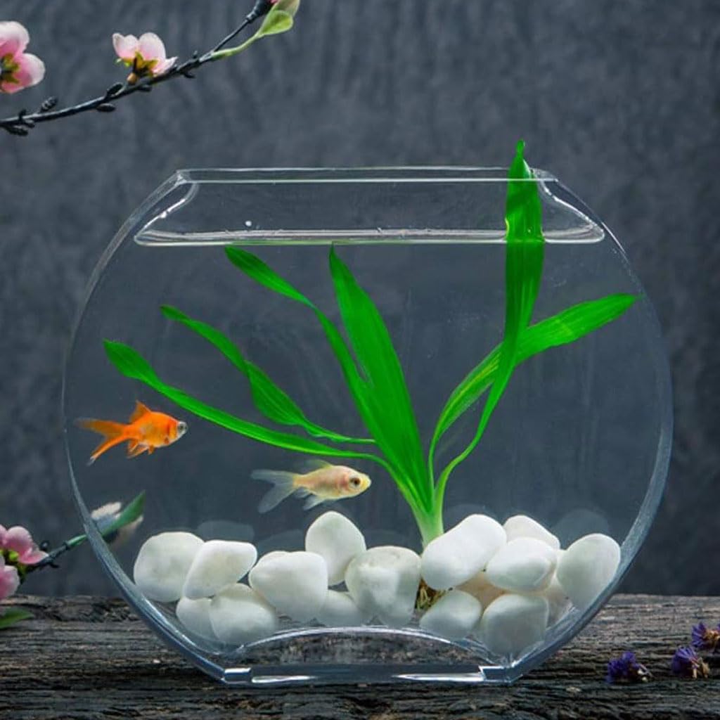 HASMI Pecera de Escritorio Pecera de Cristal Creativa, Tanque de Peces Dorados, Plano, Redondo, pequeño y Mediano, para Sala de Estar, Oficina, Acuario de Escritorio Decoración Pecera