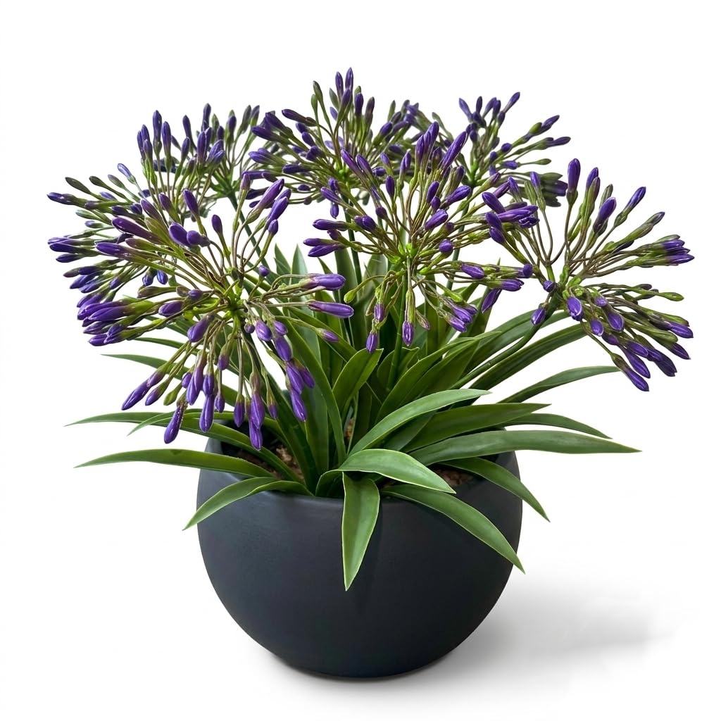 Photo 1 of EVERVINE Artificial Agapanthus Flowers - Purple