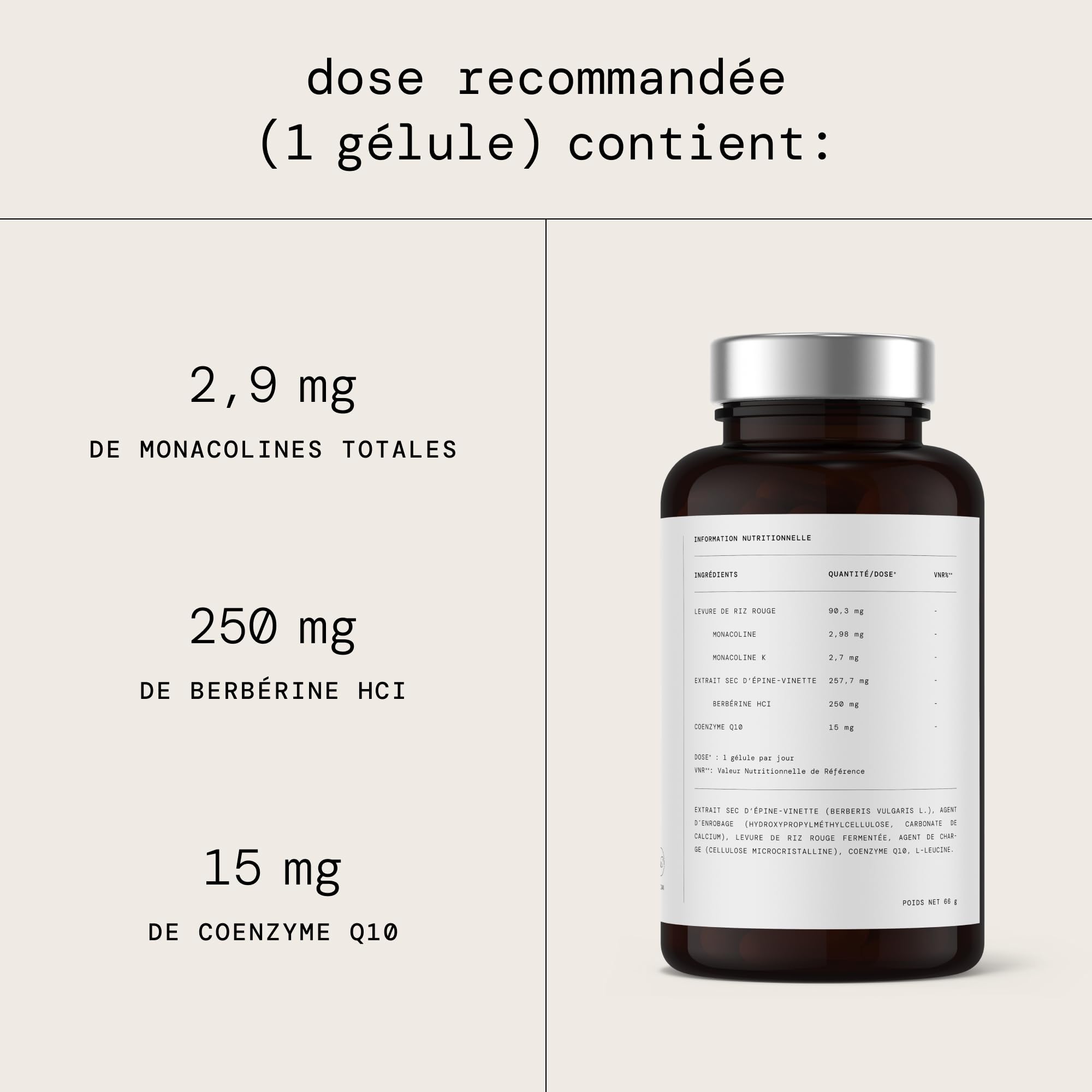 Levure de riz rouge 2,9 mg Monacolinas avec Berbérine 250 mg et Q10 | 120 gélules végétaliennes | Contrôle le taux de cholestérol, le bien-être cardiovasculaire, maintient l'équilibre métabolique