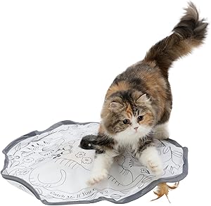 猫壱 キャッチ・ミー・イフ・ユー・キャン2 猫のお庭 猫用 電動 おもちゃ