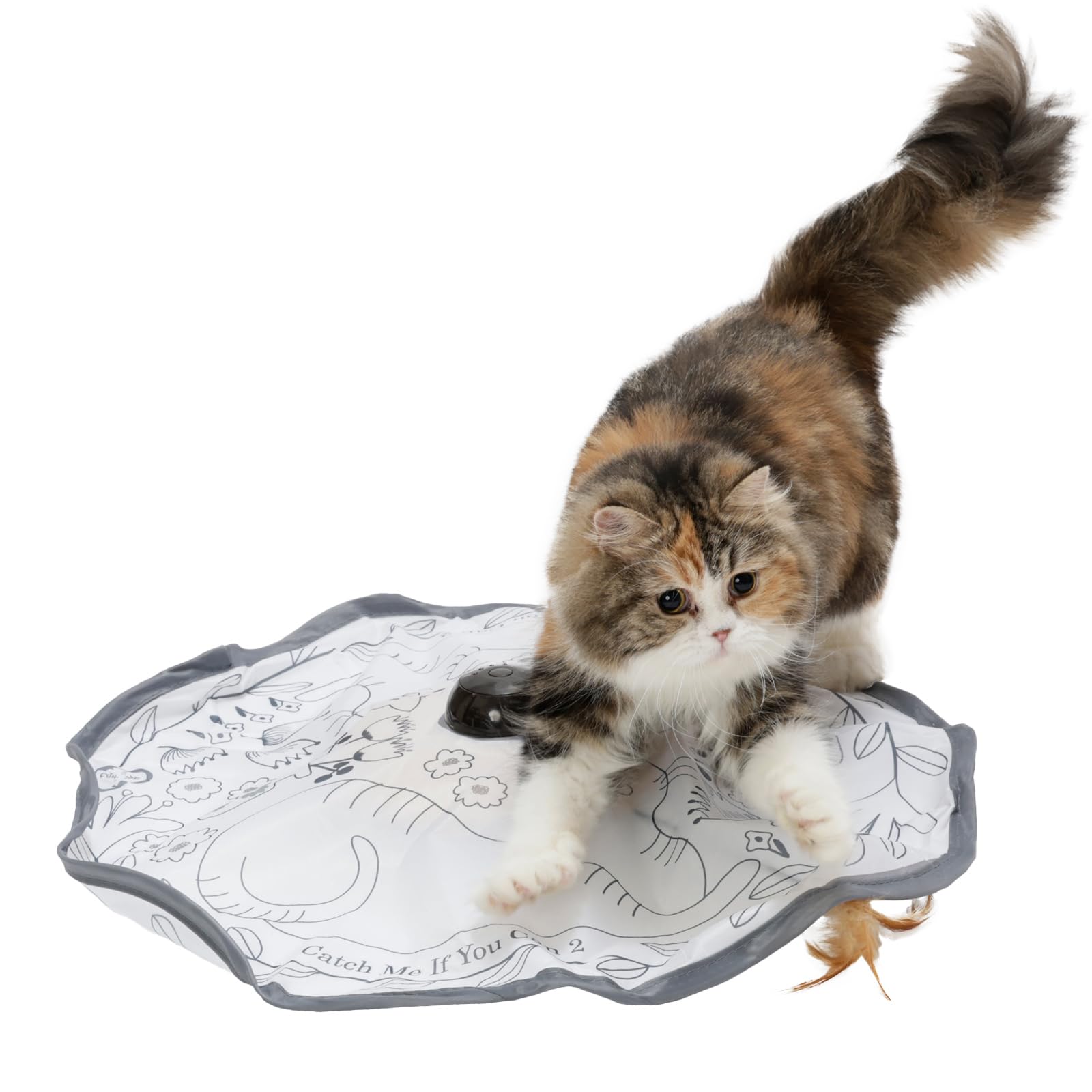 YouStar 猫のキャラクターおもちゃ 猫壱(necoichi) キャッチ・ミー・イフ・ユー・キャン2 猫用電動おもちゃ
