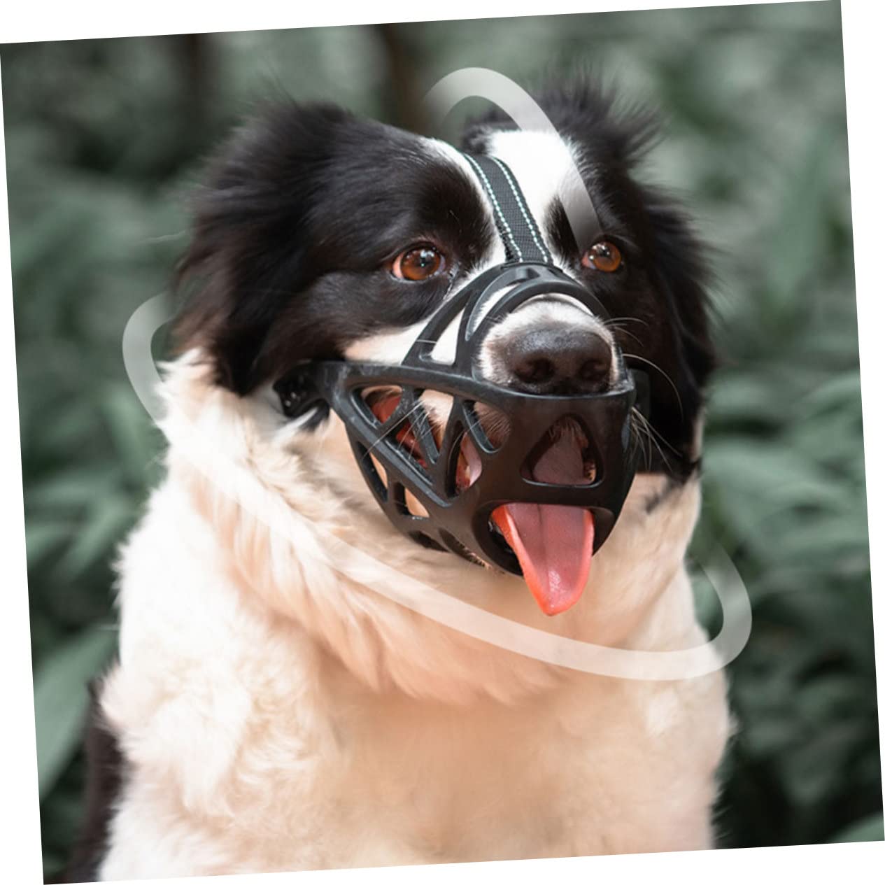 ABOOFAN 3pièces Muselière Ajustable pour Chien Bouche Anti-aboiements Et Morsures Confortable Et Respirante pour Petits Et Moyens Chiens