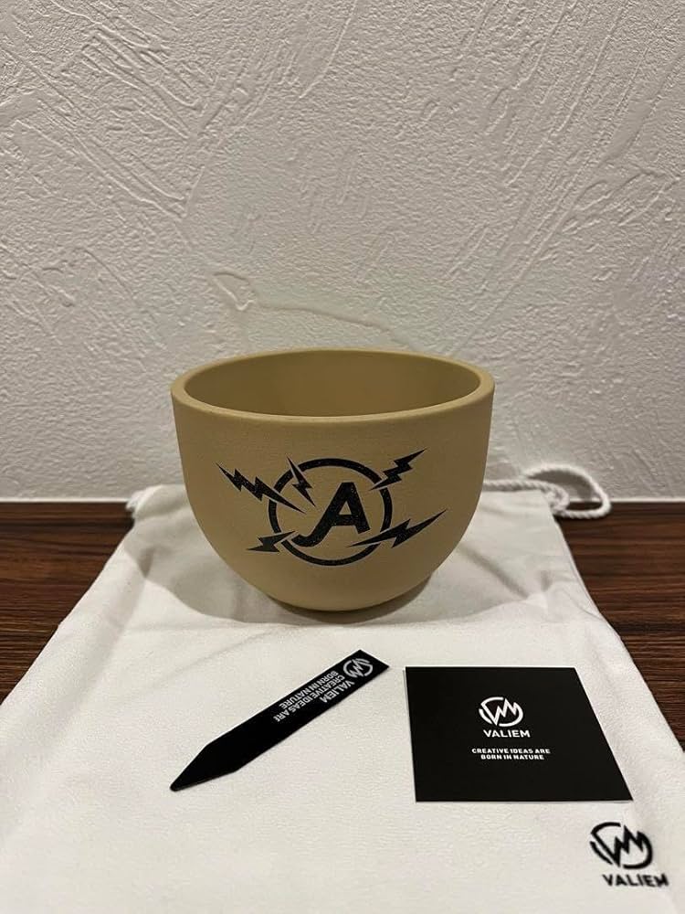 VALIEM 鉢 Mサイズ 品 【公式通販】