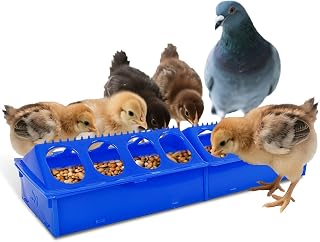 Plastic Detachable Poultry Feeders Chick Feeder Trough with Multiple Feeding Holes, No-Waste Baby Chicken, Duckling, and Quail Feeding Dish Dispenser, 16IN